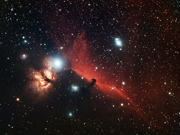 La n�buleuse de la T�te de Cheval